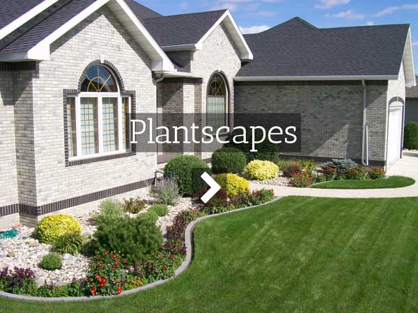 Landscaping in Fargo ND with Bushes, Trees, Shrubs, Flowers, and other Plants by Oasis Landscapes