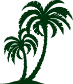 Oasis Landscapes Palm Tree